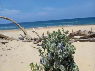 Parque de vacaciones Moliets-Plage Entorno 27