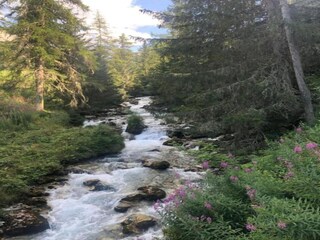 Parc de vacances Peisey-Nancroix Environnement 23