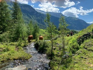Parc de vacances Peisey-Nancroix Environnement 32