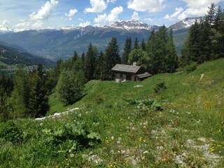 Ferienpark Peisey-Nancroix Umgebung 33