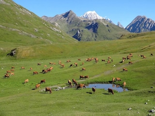 Parco vacanze La Rosière Ambiente 29
