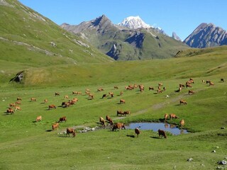 Parque de vacaciones La Rosière Entorno 36