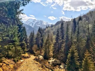 Parc de vacances La Rosière Environnement 31