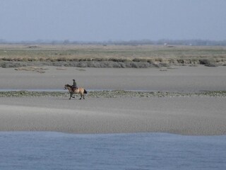 Vakantiepark Cayeux-sur-Mer Omgeving 19