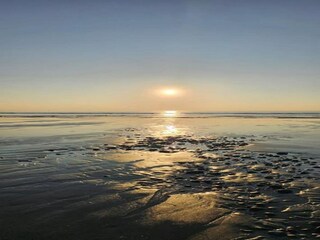 Parc de vacances Cayeux-sur-Mer Environnement 15