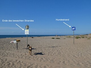 Hundestrand