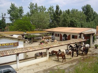 Pferderanch