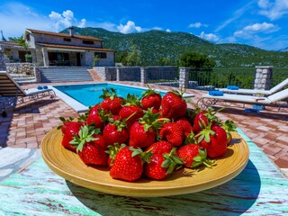 Villa Duge Njive  38