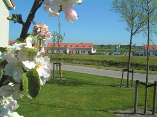Vakantiehuis Renesse Omgeving 18