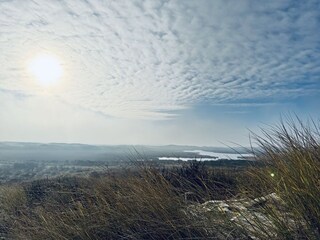Dünenlandschaft
