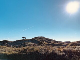 Nationalpark Duinen van Texel