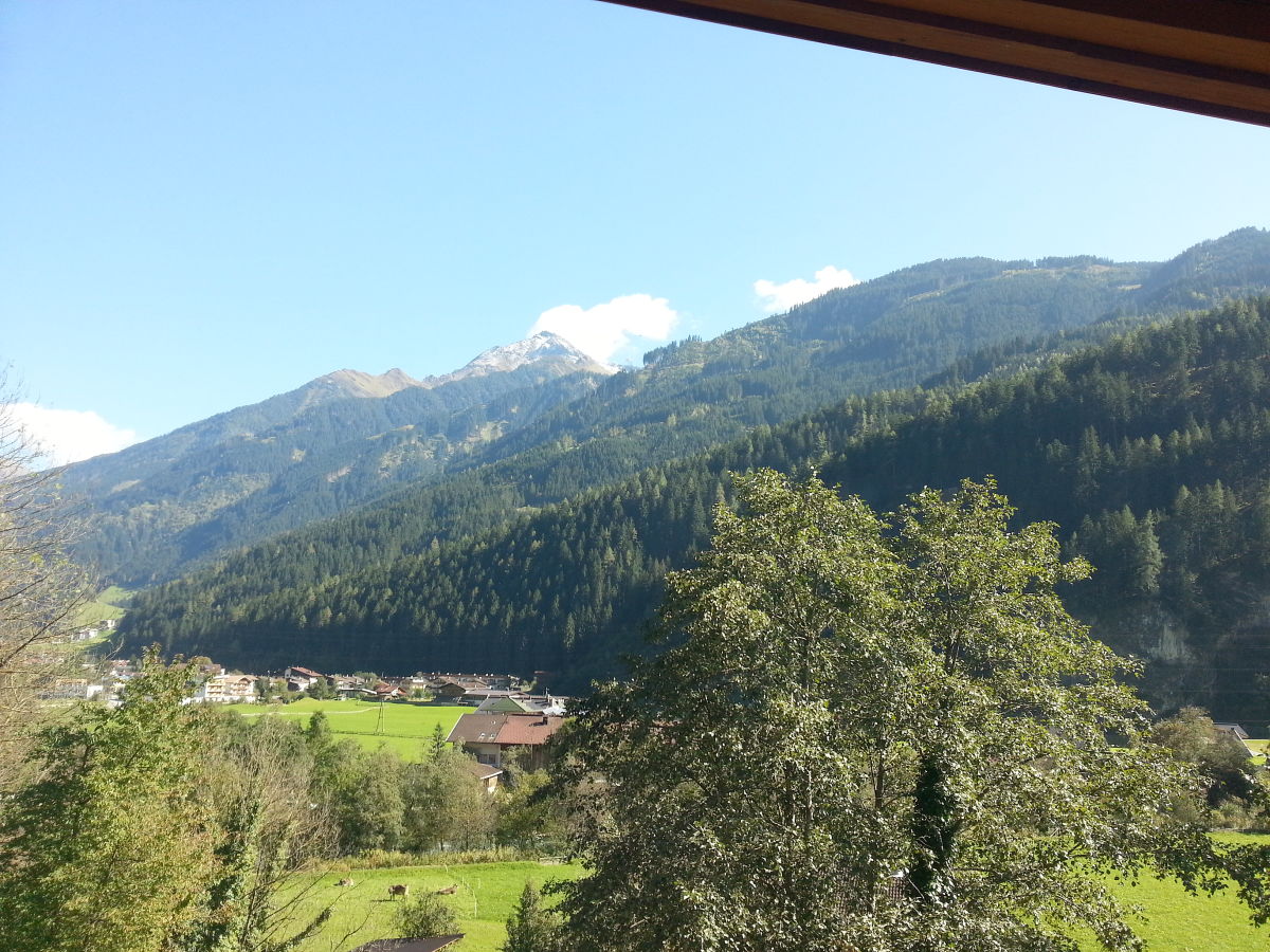 Ausblick im Sommer von Ihrem Balkon