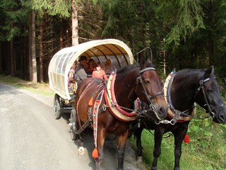 Casa de vacaciones Auerbach im Vogtland Entorno 29