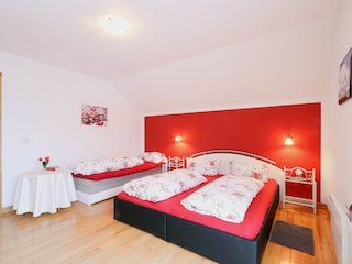 Casa per le vacanze Auerbach im Vogtland Caratteristiche 25