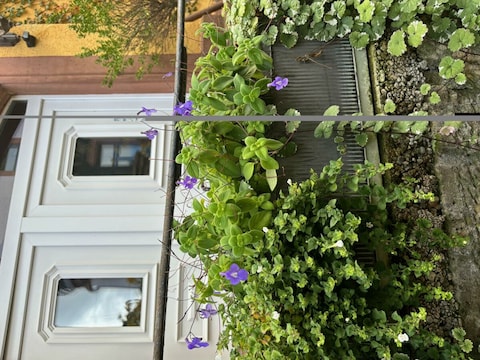 Appartement Villa Botanica