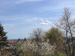 Blick Rhein-Ebene