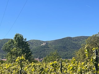 weiterer Blick auf das Schloss