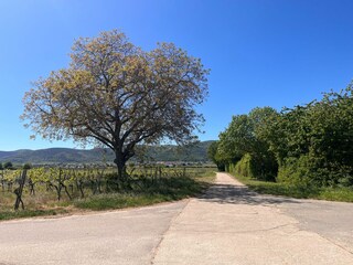 Blick auf Diedesfeld