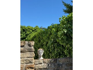 Appartement Maikammer Buitenaudio-opname 12
