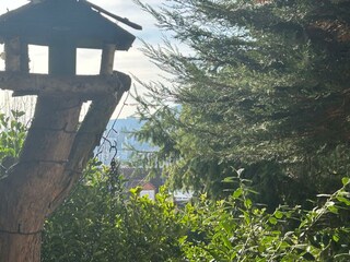 Apartamento Neustadt an der Weinstraße Grabación al aire libre 6