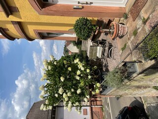 Feierabendterrasse IMG_1757