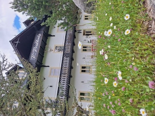 Außenansicht Haus