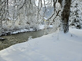 Steyr am Grundstück