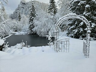 See im Winter_Grundstück