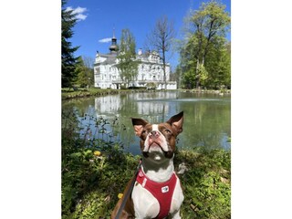 Schloss Grubhof vor der Türe