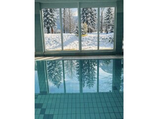 Hauseigenes Indoor Pool