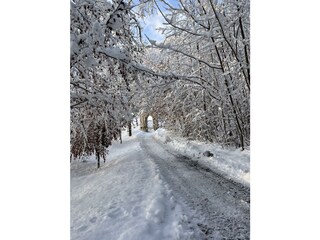 Schlosspark im Winter