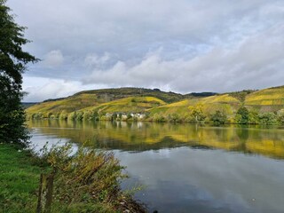 Die Mosel