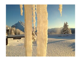 Winter - Eiszapfen