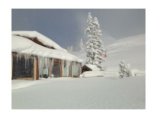 Schneebilder