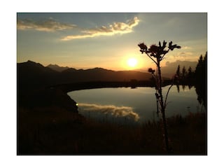 Bergsee - Sommer