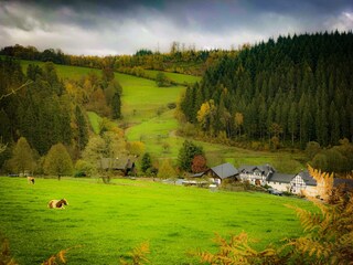 Natur Etappe 10 Natursteig Birken-Honigessen