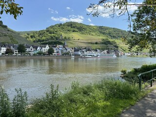 Apartamento Zell Mosel Grabación al aire libre 6