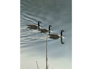 IMG_9886