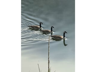 IMG_9886
