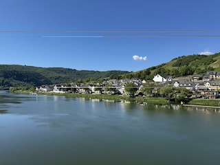 IMG_9855