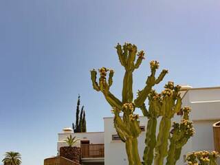 Ferienhaus Playa del Inglés Außenaufnahme 4