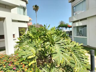 Ferienhaus Playa del Inglés Außenaufnahme 6