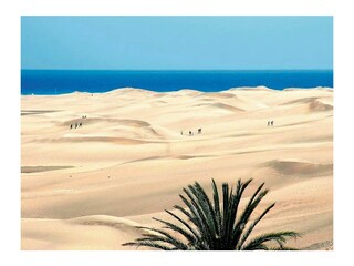 Ferienhaus Playa del Inglés Umgebung 21