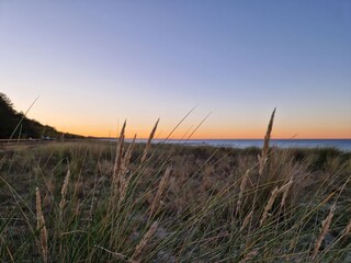 Ferienhaus Zingst Umgebung 12