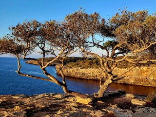 Casa per le vacanze Cala Pi Ambiente 33
