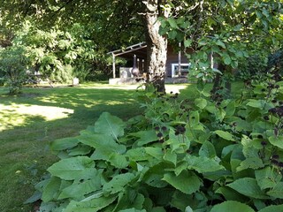 Vakantiehuis Heyd Buitenaudio-opname 6