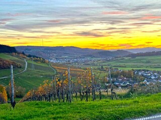 Vakantiehuis Pellingen Omgeving 34