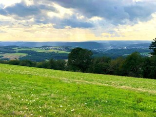 Apartamento Pellingen Entorno 22