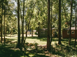 Vakantiehuisje Chênehutte-Trèves-Cunault Omgeving 31