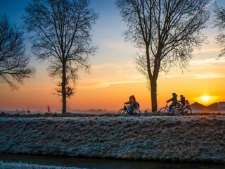 Vakantiehuisje Chênehutte-Trèves-Cunault Omgeving 39